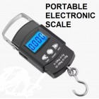 PORTABLE ELECTRONIC LUGGAGE SCALE